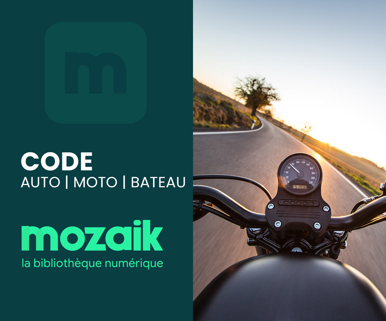 Mozaik