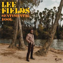 Sentimental fool | Fields, Lee