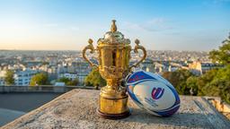 Exposition coupe du monde de rugby 2023 | 