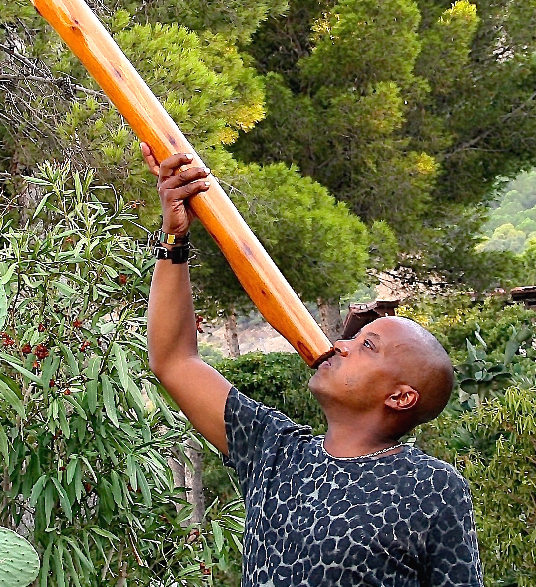 A la découverte d'un instrument : le didgeridoo | 